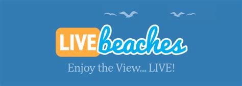 Twiddy & Co Live Beach Cam Live Webcams